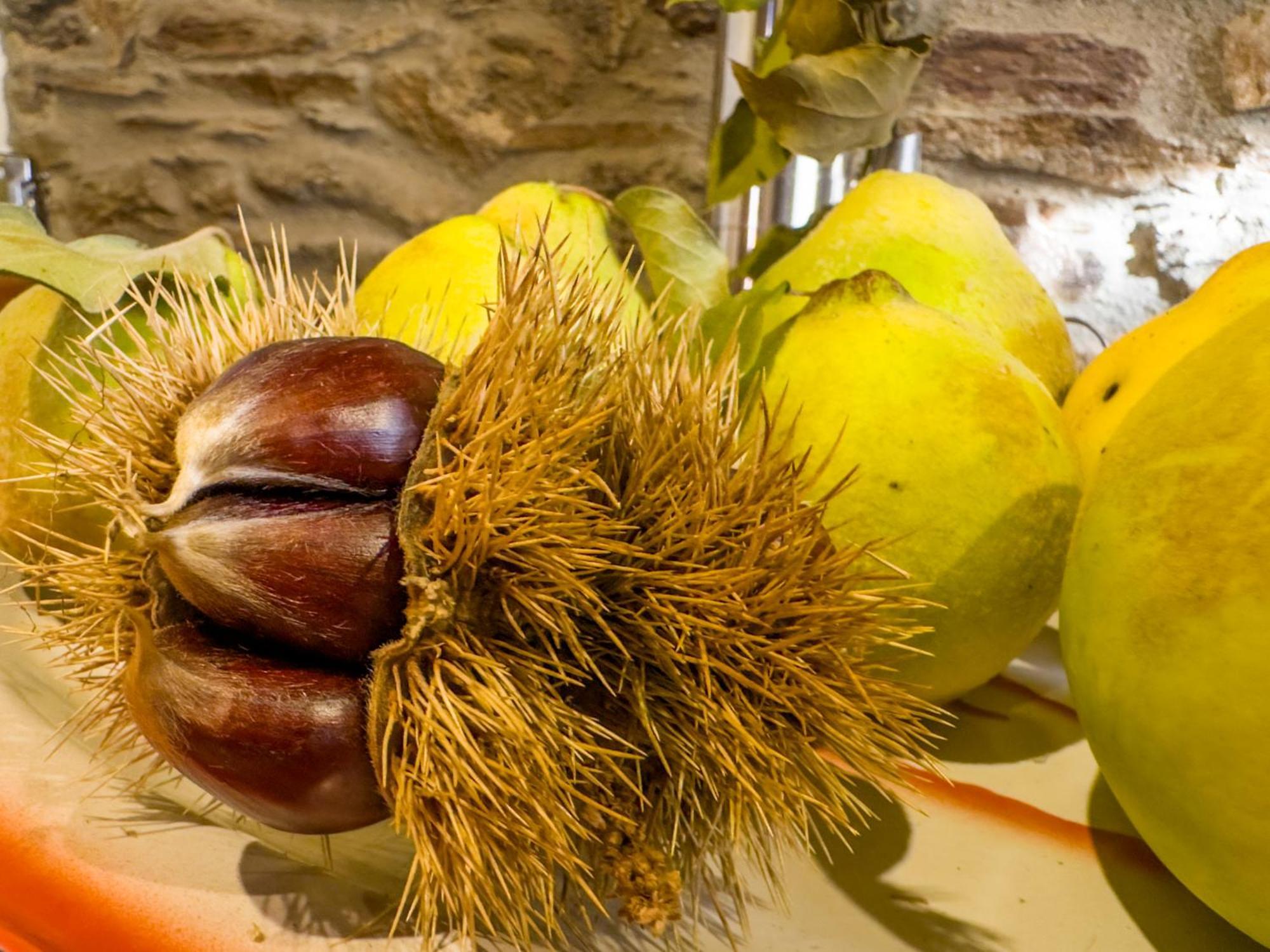 Casa Do Souto - Nature & Experiences - Turismo Rural บรากันซา ภายนอก รูปภาพ